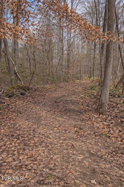 Photo #2: 000 Byrd Creek