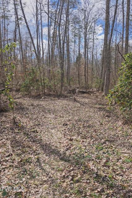 Photo #5: 000 Byrd Creek