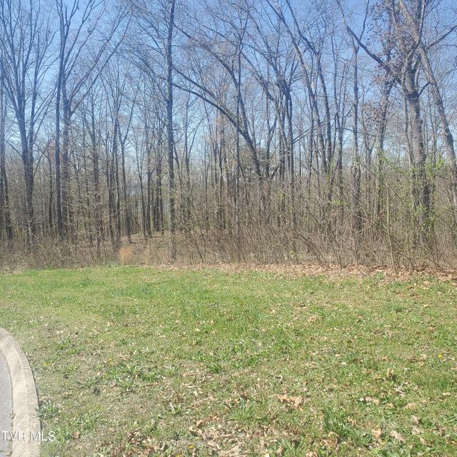 Photo #4: Lot 136 Tumbleweed Trail