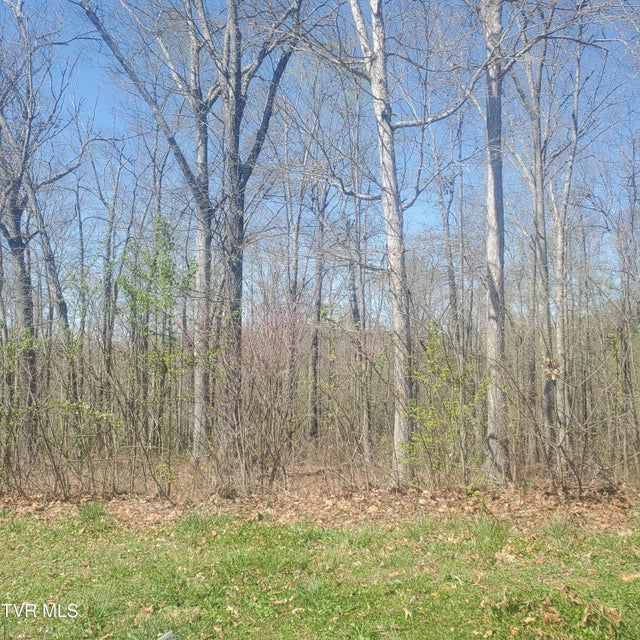 Photo #5: Lot 136 Tumbleweed Trail