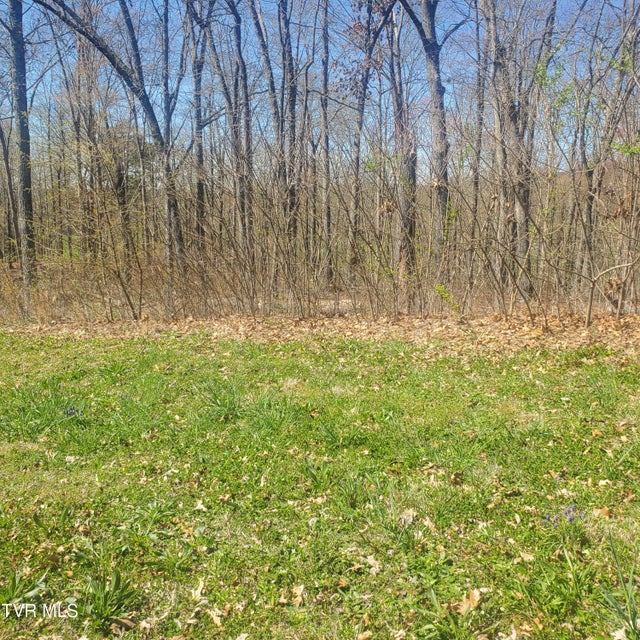 Photo #7: Lot 136 Tumbleweed Trail