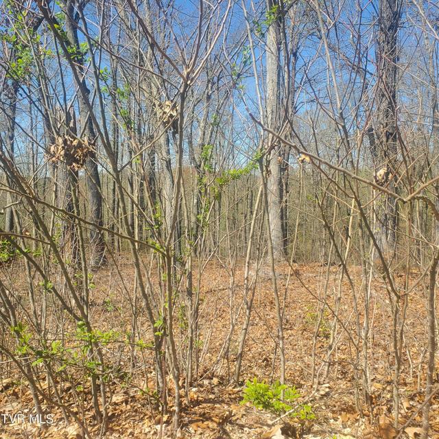 Photo #8: Lot 136 Tumbleweed Trail