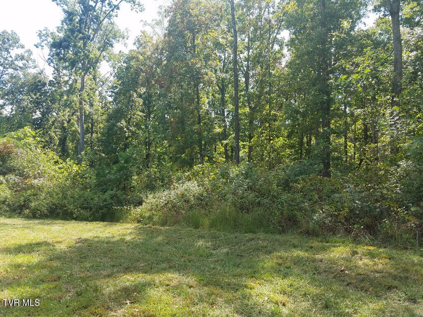 Photo #11: Lot 136 Tumbleweed Trail