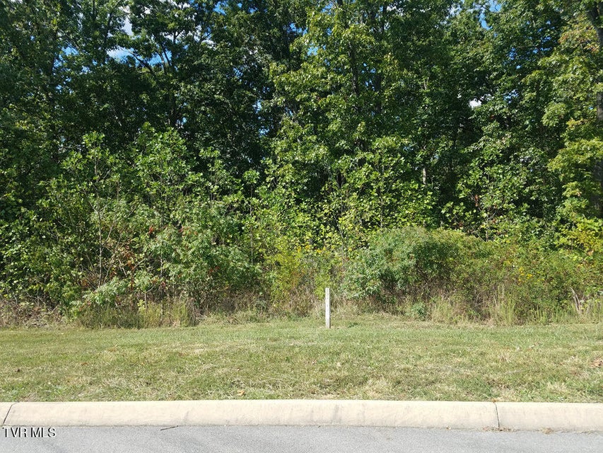 Photo #19: Lot 136 Tumbleweed Trail