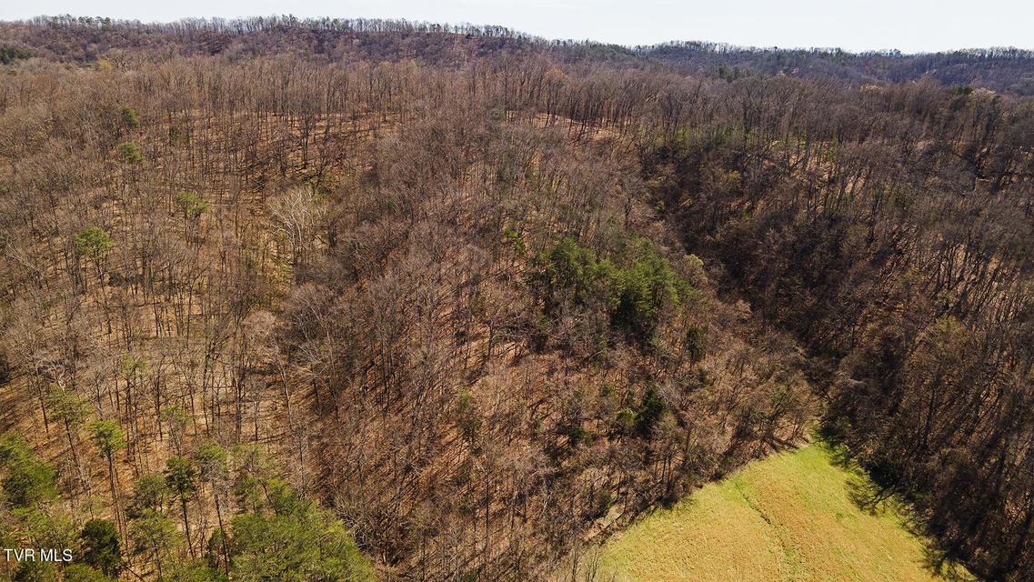 Photo #7: 350 Vfw Road