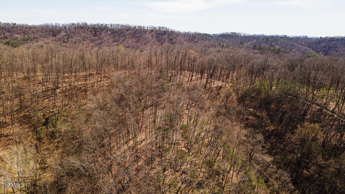 Photo #8: 350 Vfw Road