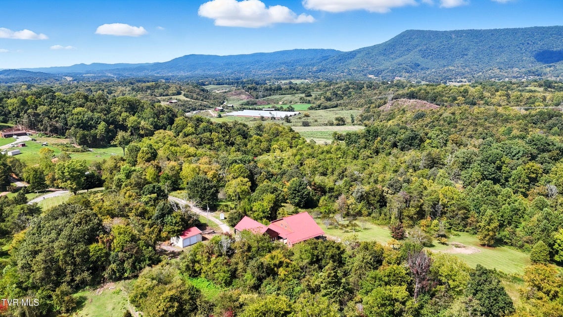 Photo #39: 1185 Woolsey Road