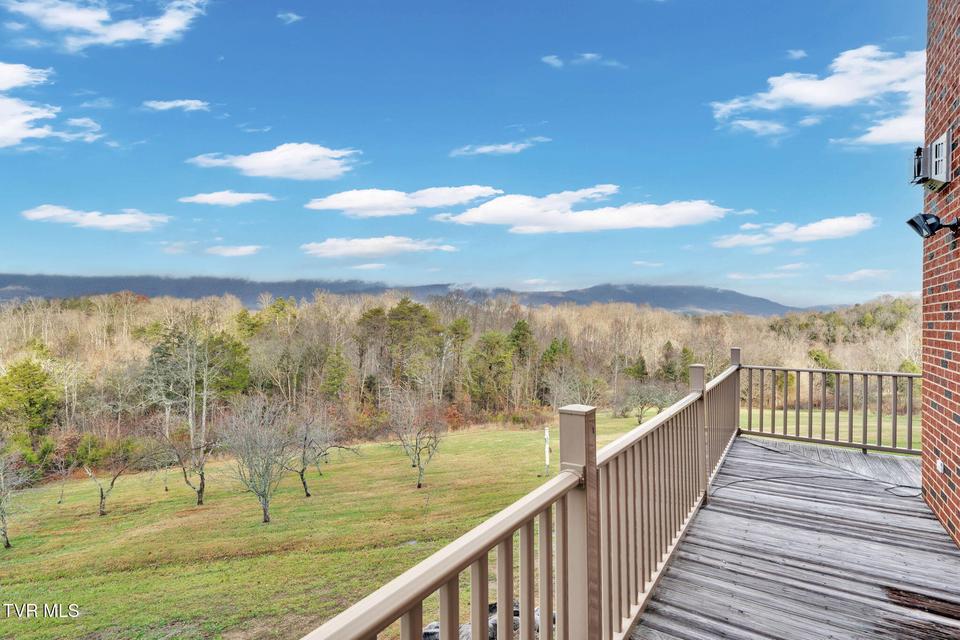 Photo #37: 1185 Woolsey Road