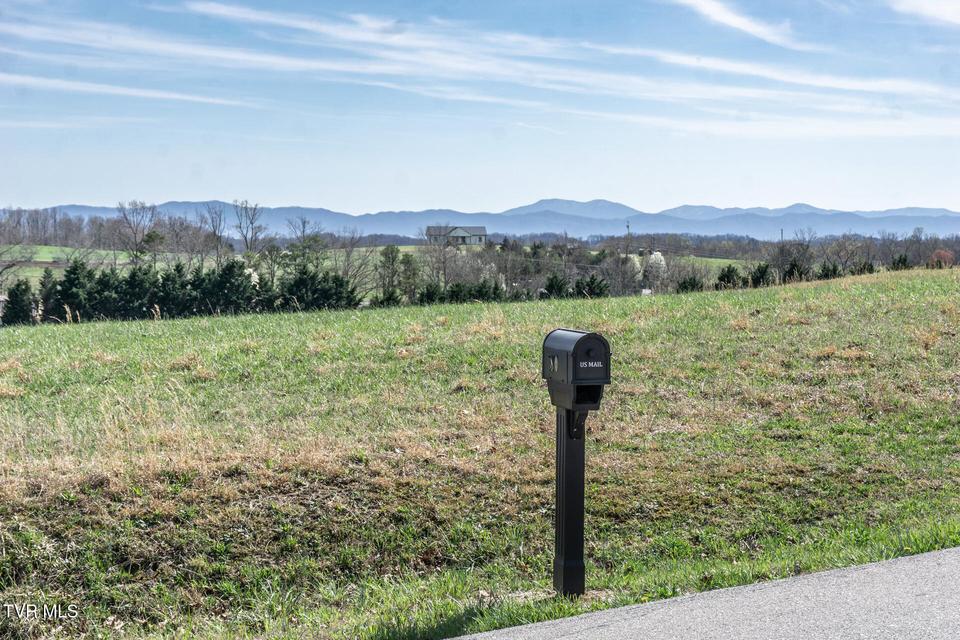 Photo #61: 80 Polly Anna Drive