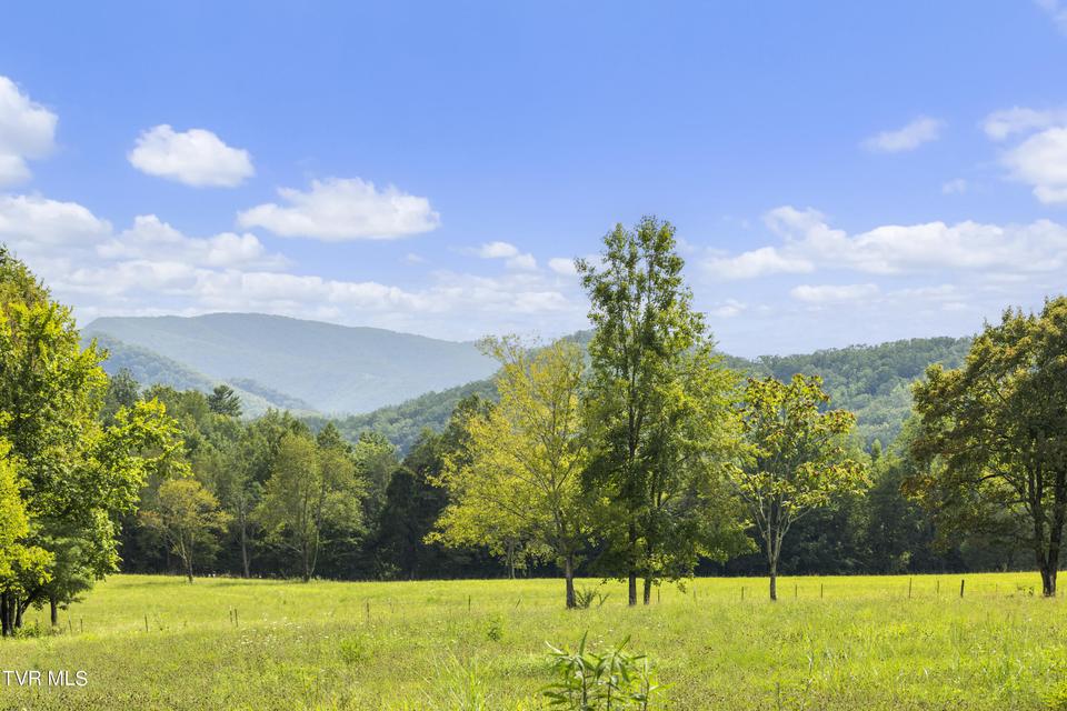 Photo #67: 131 Brown Drive