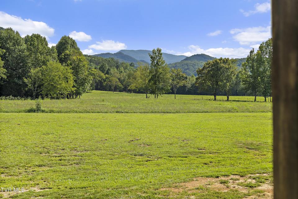 Photo #68: 131 Brown Drive