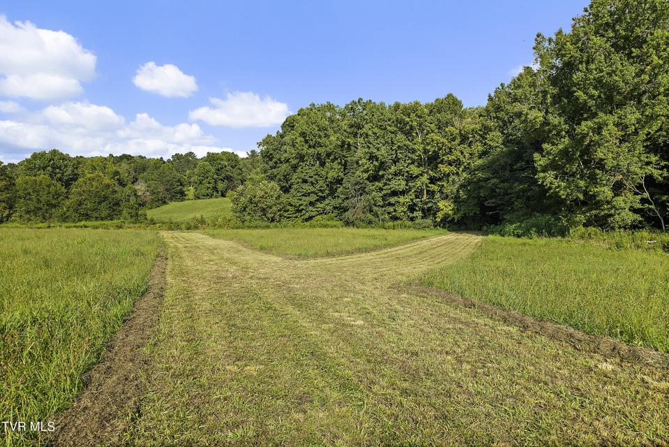 Photo #70: 131 Brown Drive