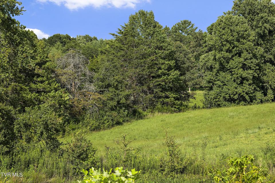 Photo #71: 131 Brown Drive