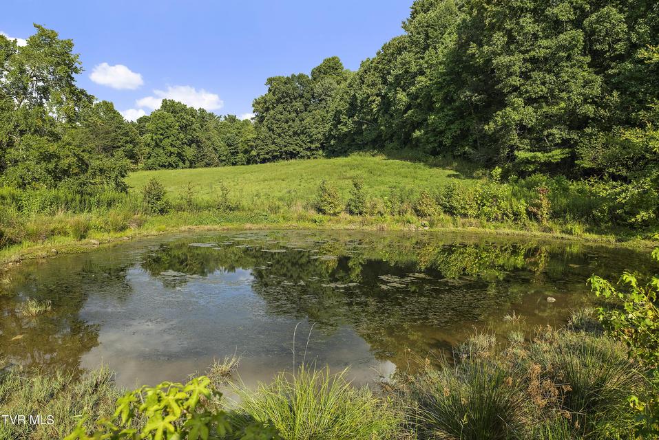 Photo #73: 131 Brown Drive