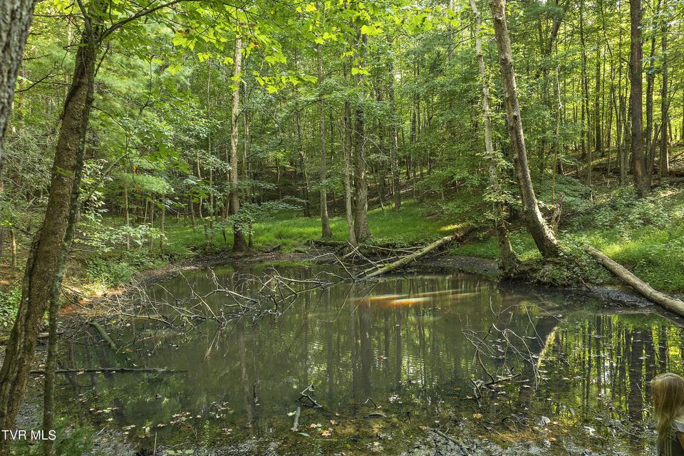 Photo #74: 131 Brown Drive