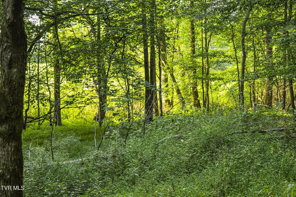 Photo #75: 131 Brown Drive