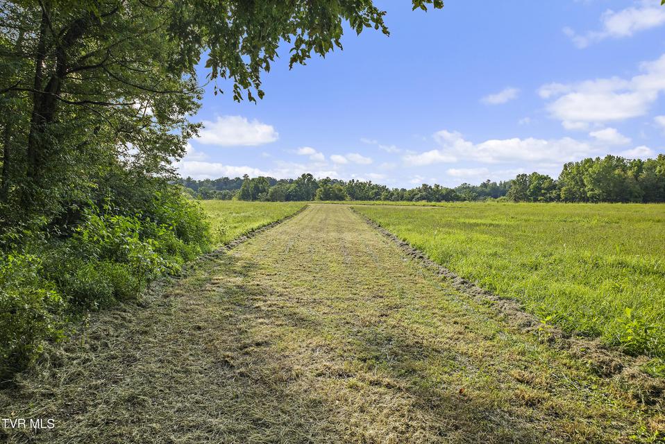 Photo #76: 131 Brown Drive