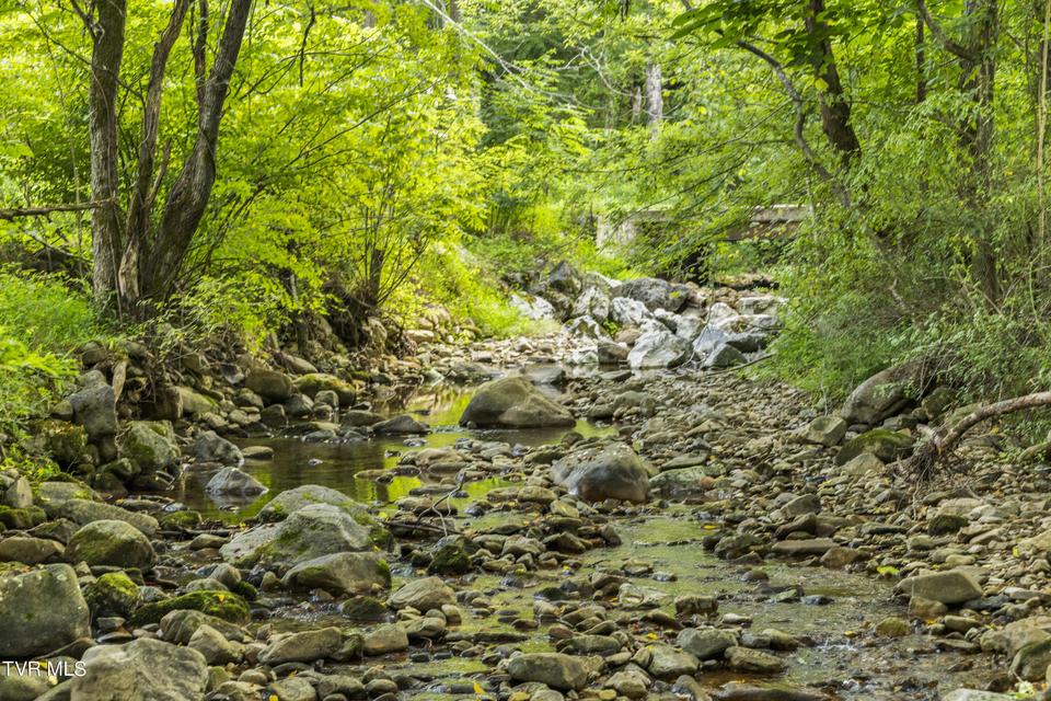 Photo #69: 131 Brown Drive