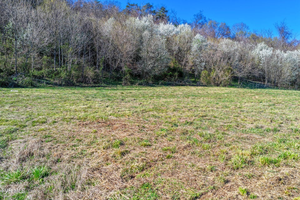 Photo #6: Tbd11 Highway 11 