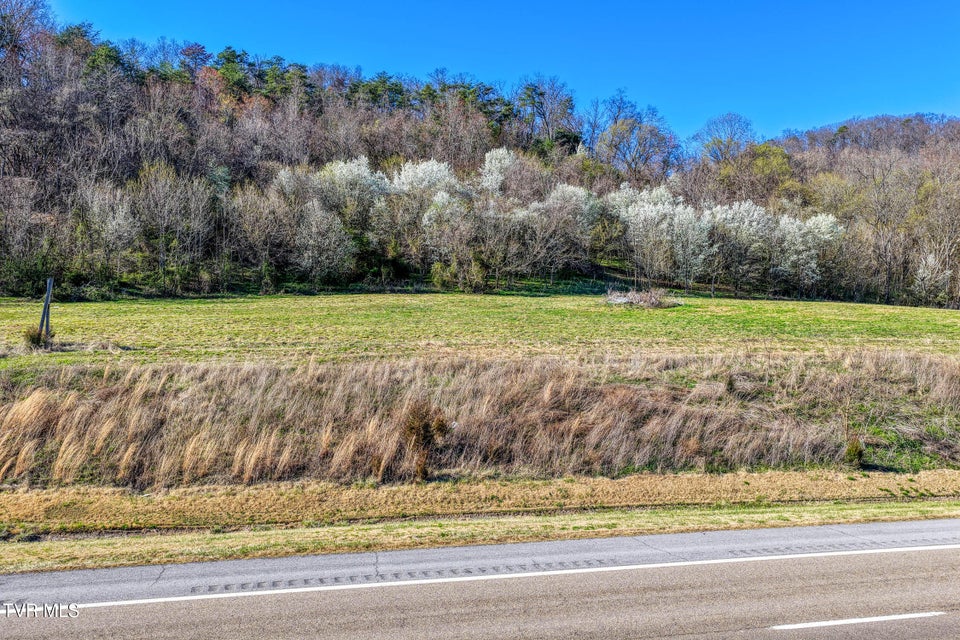 Photo #10: Tbd11 Highway 11 