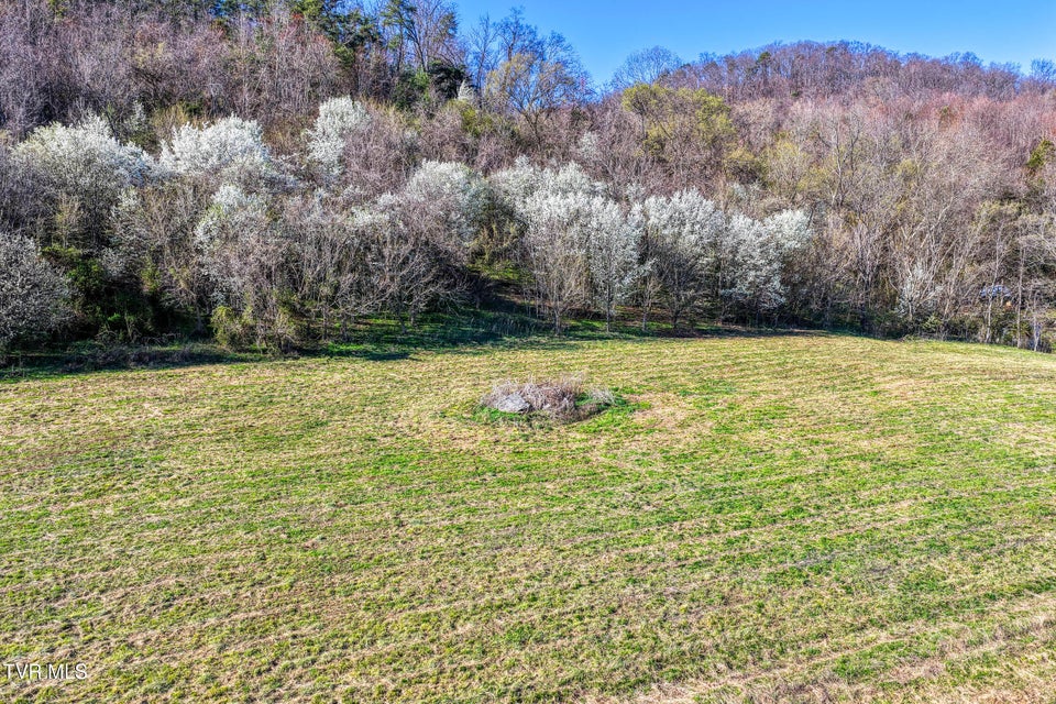 Photo #16: Tbd11 Highway 11 