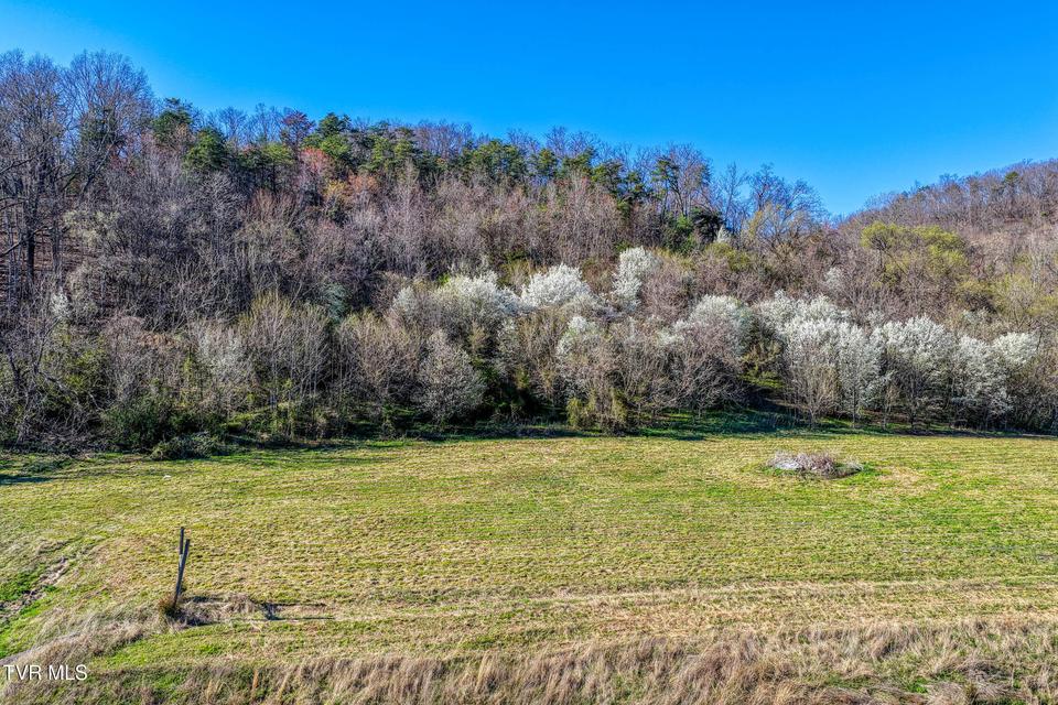 Photo #23: Tbd11 Highway 11 