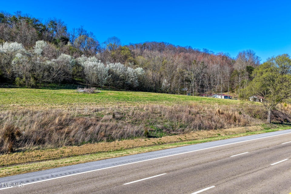 Photo #10: Tbd11 Highway 11 