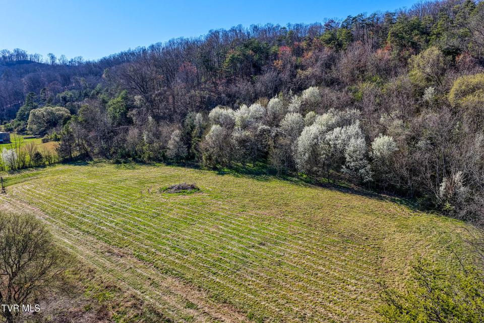 Photo #21: Tbd11 Highway 11 