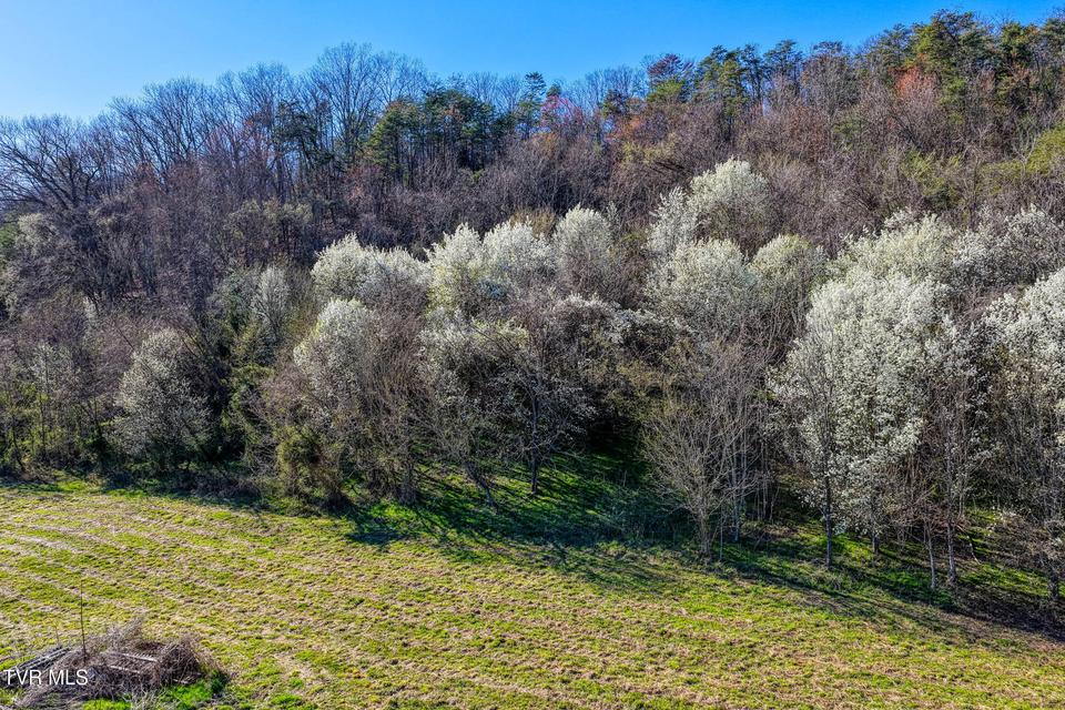 Photo #22: Tbd11 Highway 11 