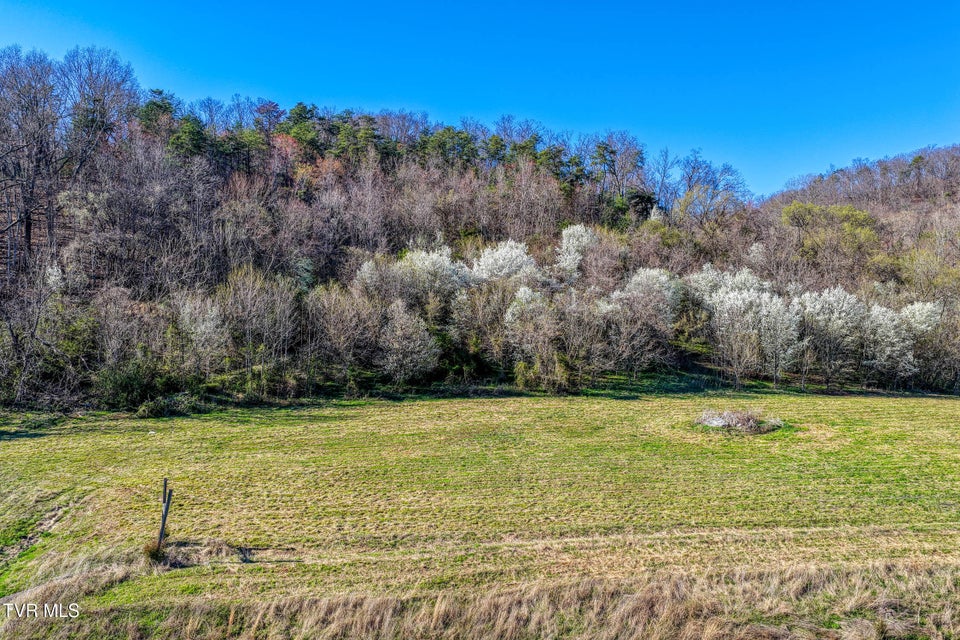 Photo #23: Tbd11 Highway 11 