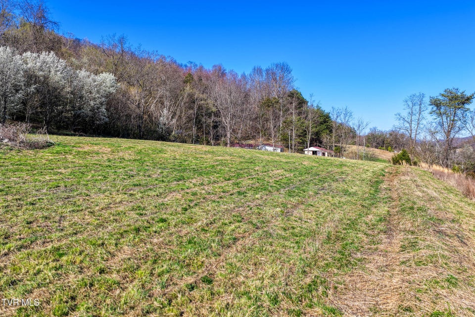 Photo #26: Tbd11 Highway 11 