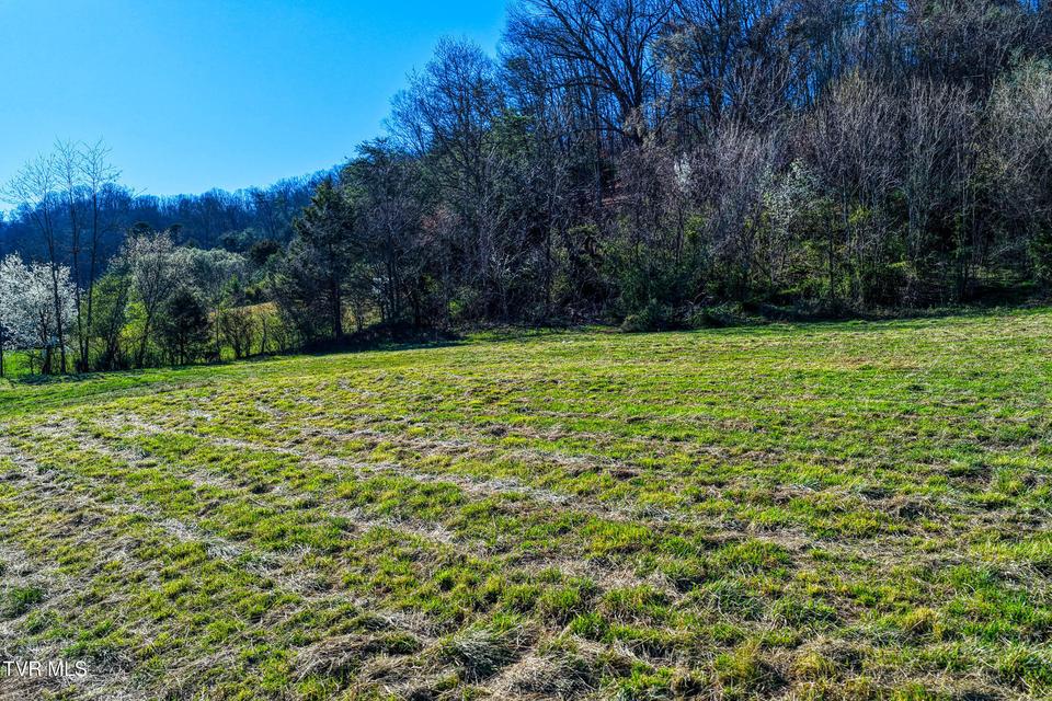 Photo #29: Tbd11 Highway 11 