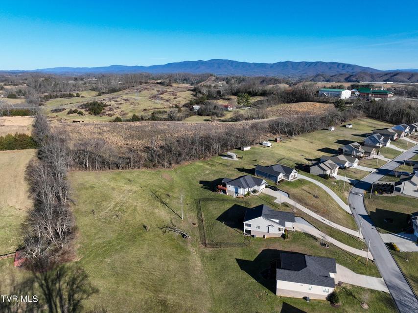 Photo #51: 2145 Poplar Ridge Court