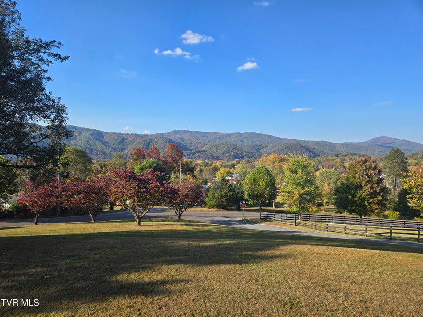 Photo #4: 720 Mohawk Drive