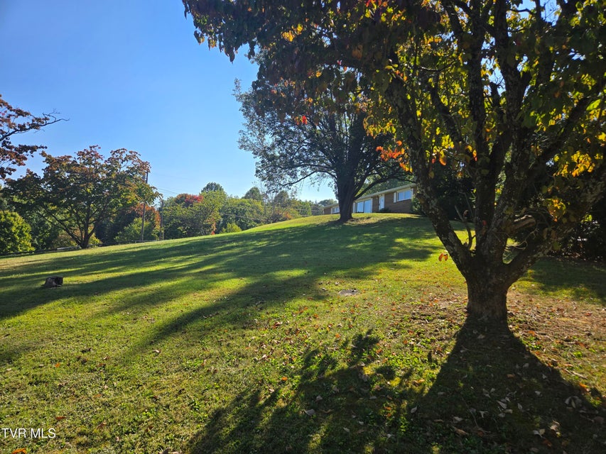 Photo #33: 720 Mohawk Drive