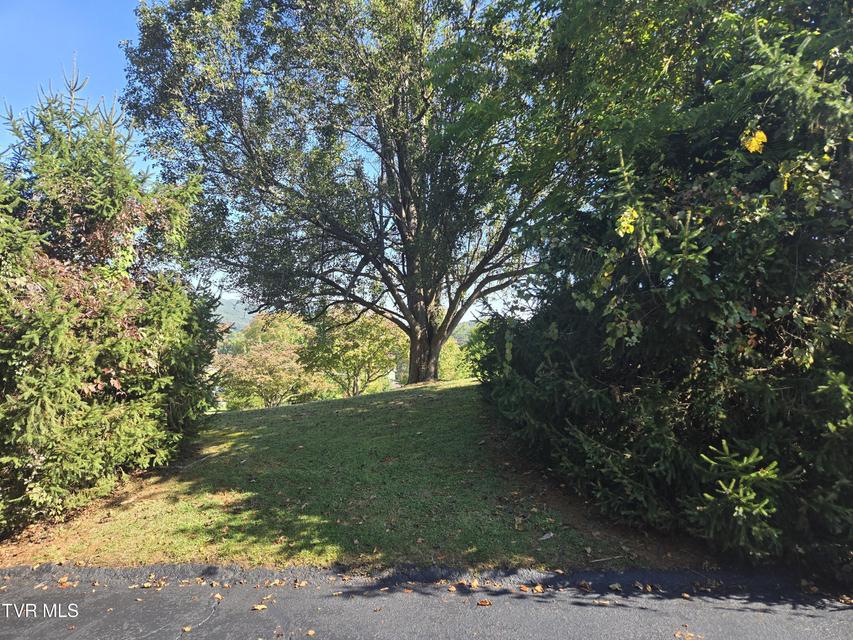 Photo #35: 720 Mohawk Drive