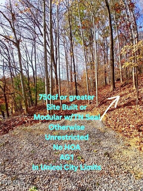 Photo #14: 1021 Marbleton Road