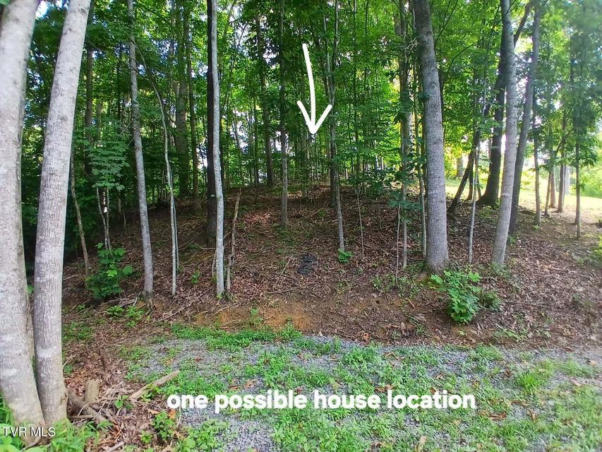 Photo #13: 1021 Marbleton Road