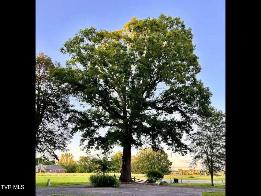 Photo #33: 630 Ancient Oaks Court