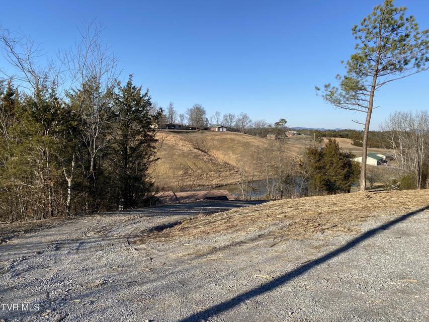 Photo #11: 5875 Blue Springs Parkway