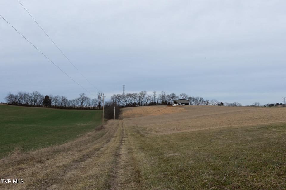 Photo #47: 130 Berryhill Road