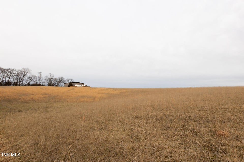 Photo #58: 130 Berryhill Road