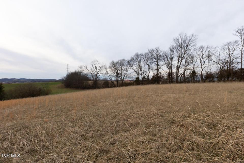 Photo #72: 130 Berryhill Road