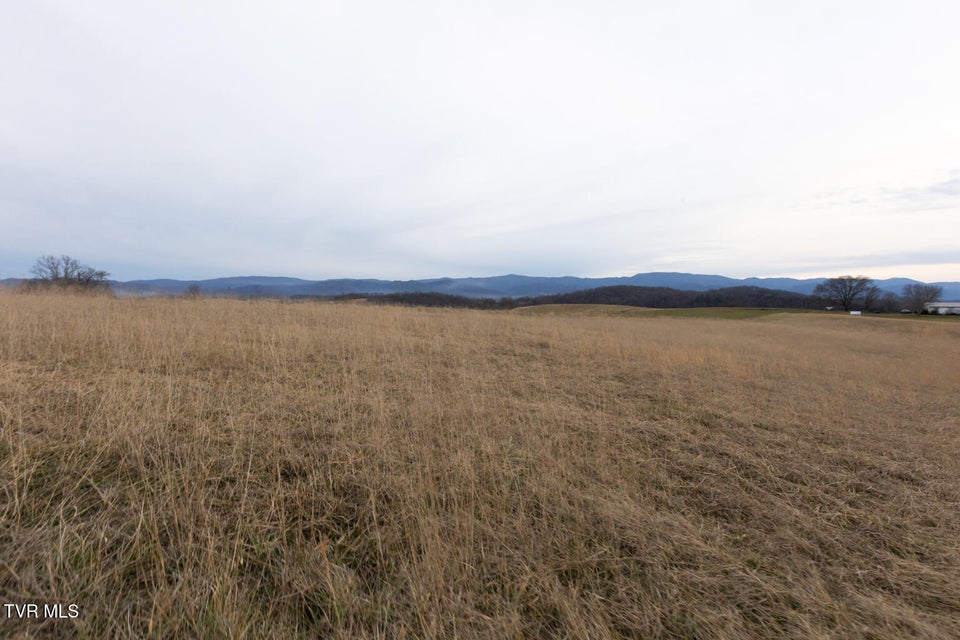 Photo #76: 130 Berryhill Road