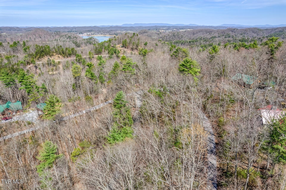 Photo #4: 461 Little Switzerland Pvt Drive