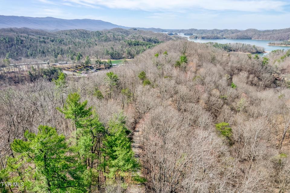 Photo #35: 461 Little Switzerland Pvt Drive