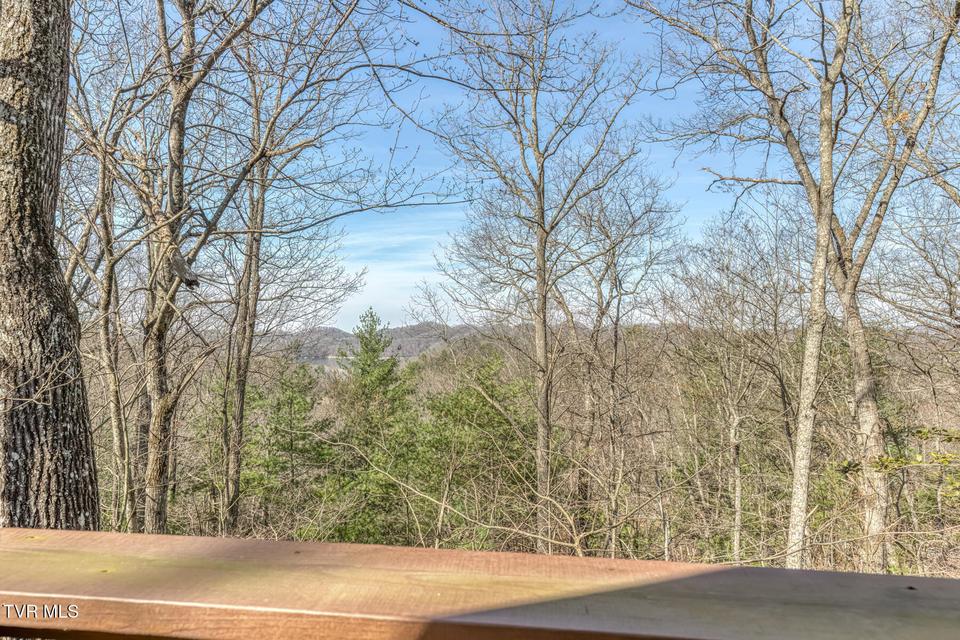 Photo #31: 461 Little Switzerland Pvt Drive