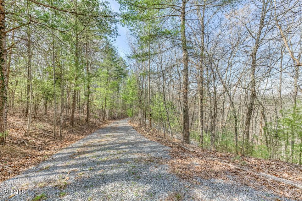 Photo #57: 461 Little Switzerland Pvt Drive