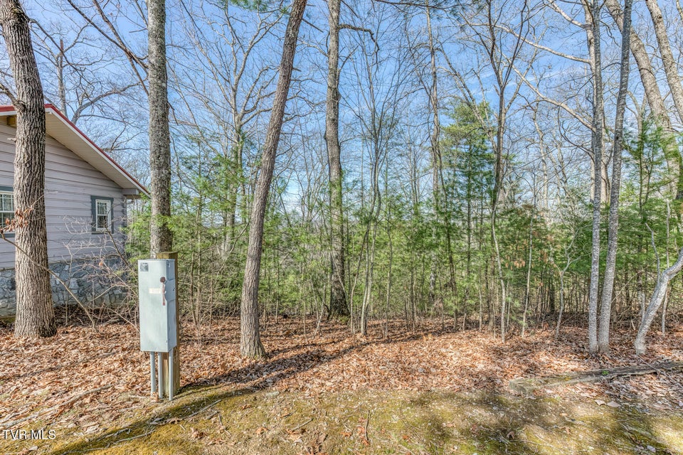 Photo #66: 461 Little Switzerland Pvt Drive