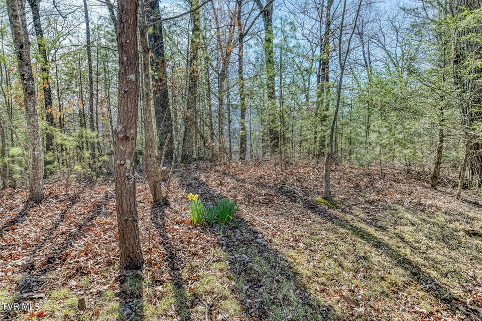 Photo #67: 461 Little Switzerland Pvt Drive